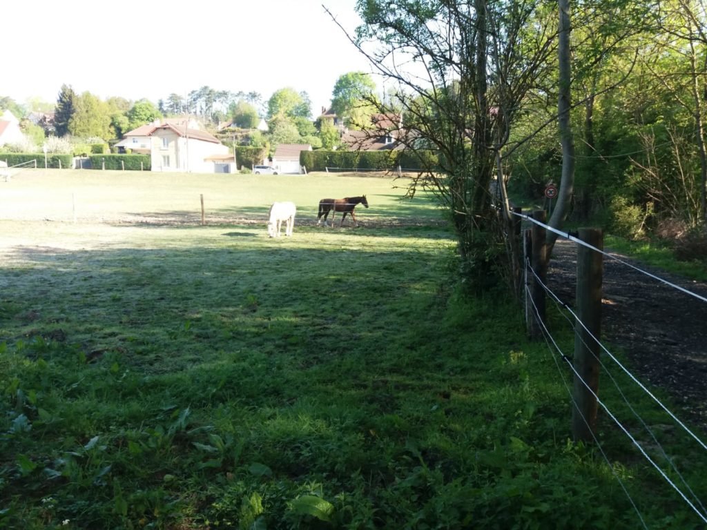 Un coin de nature en direct du Vexin