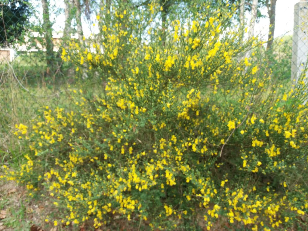 Un coin de nature en direct du Vexin